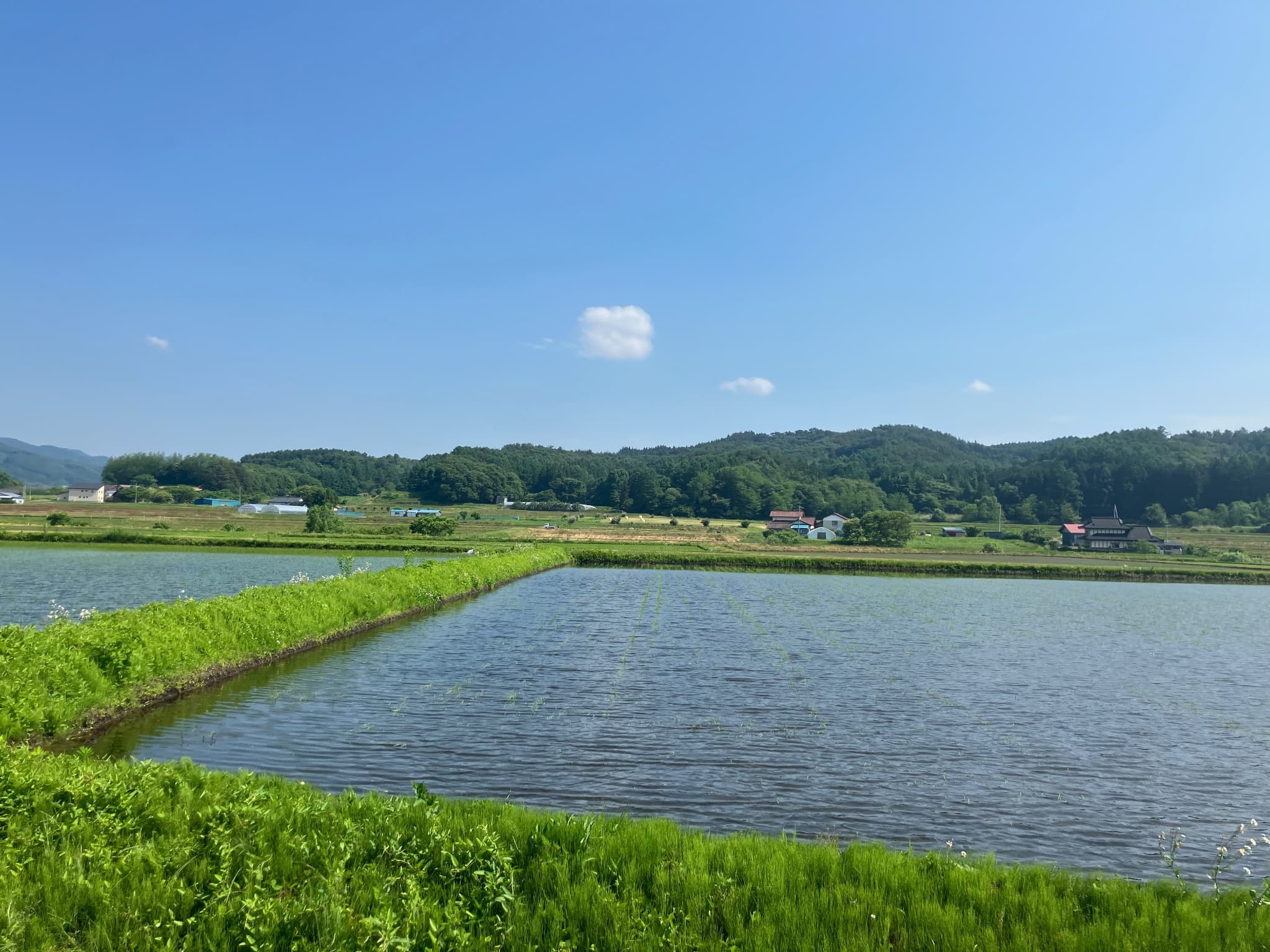 遠野の田園風景