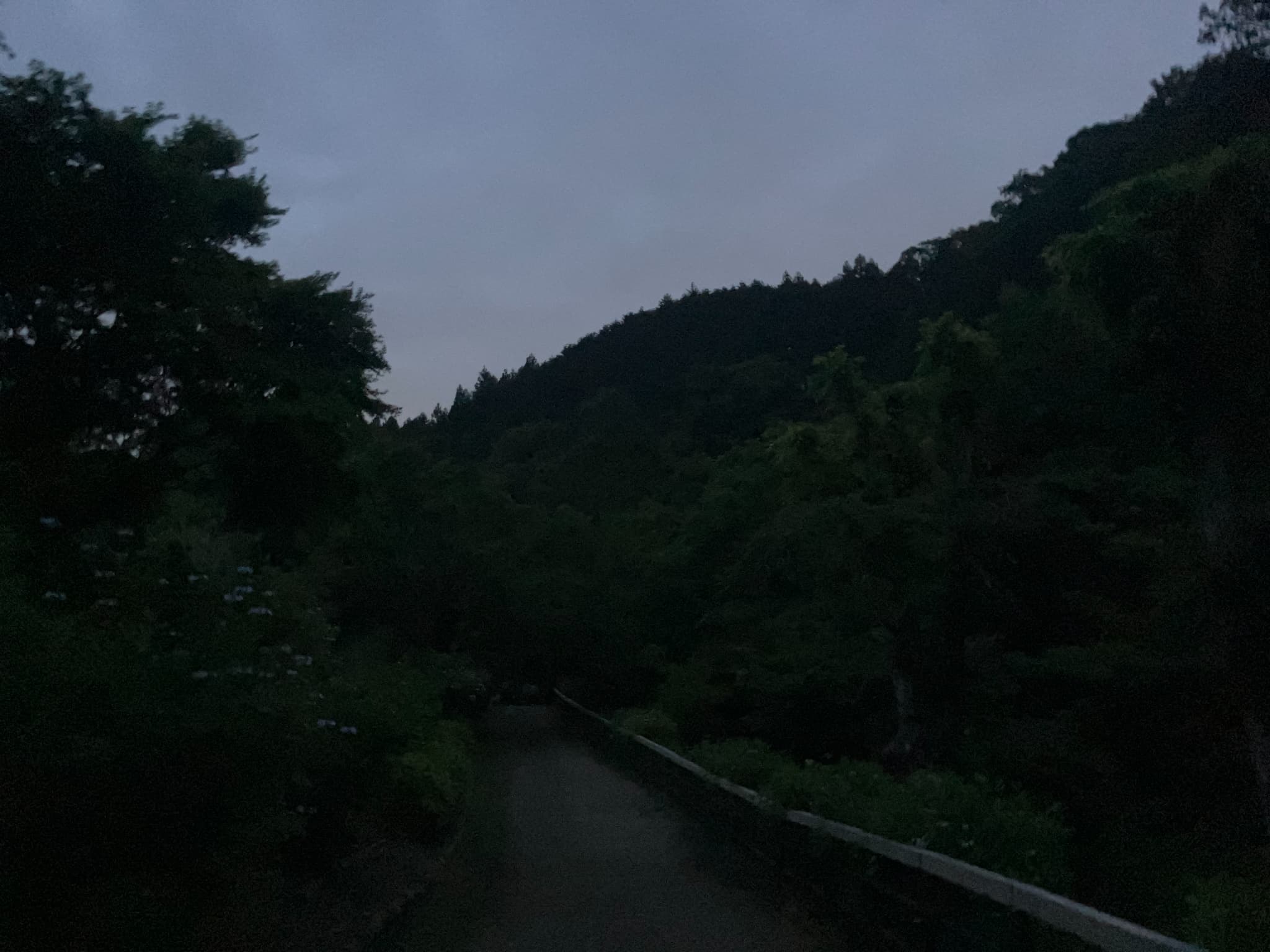 2025年6月の活動報告
