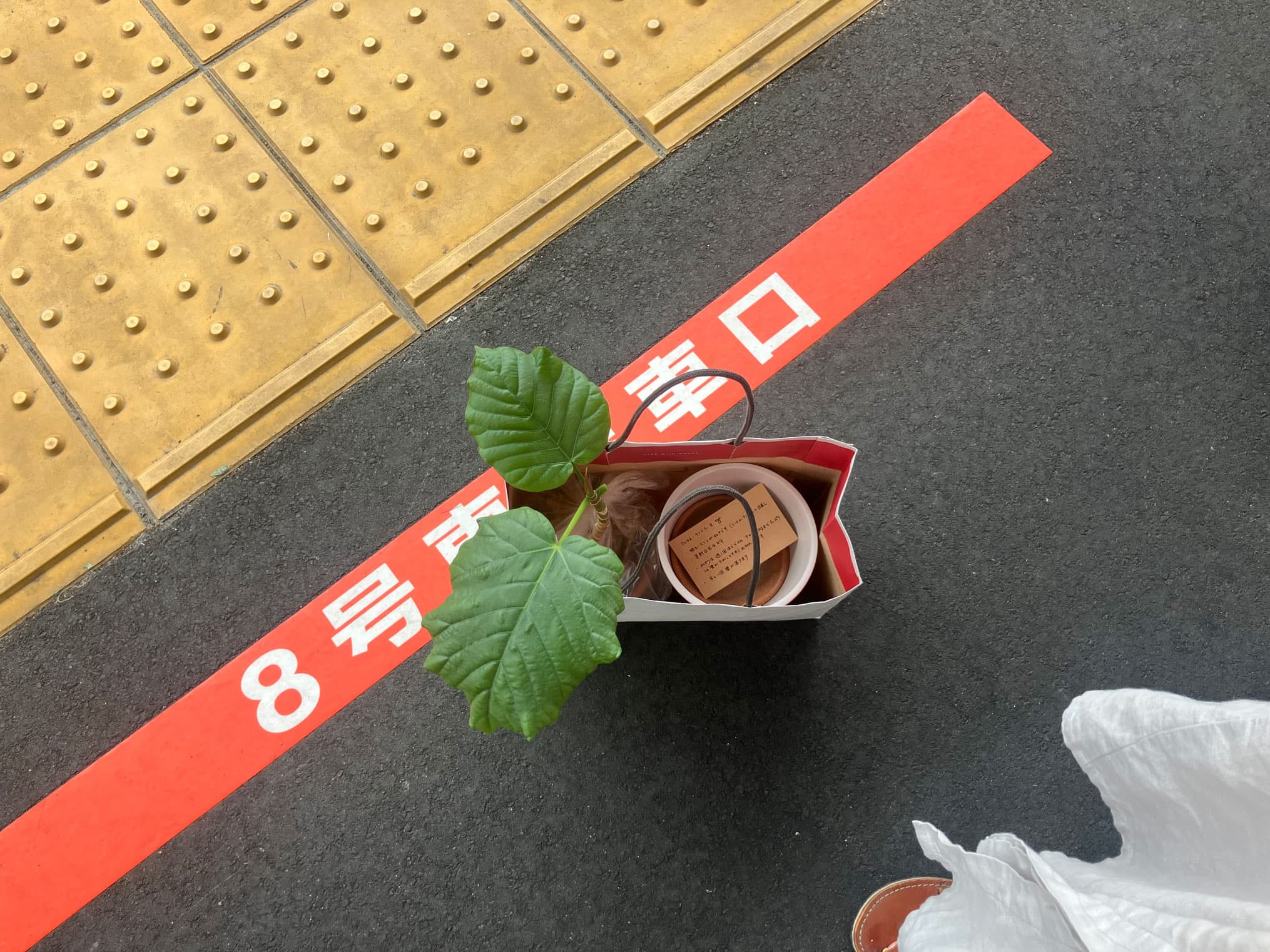 2025年8月の活動報告