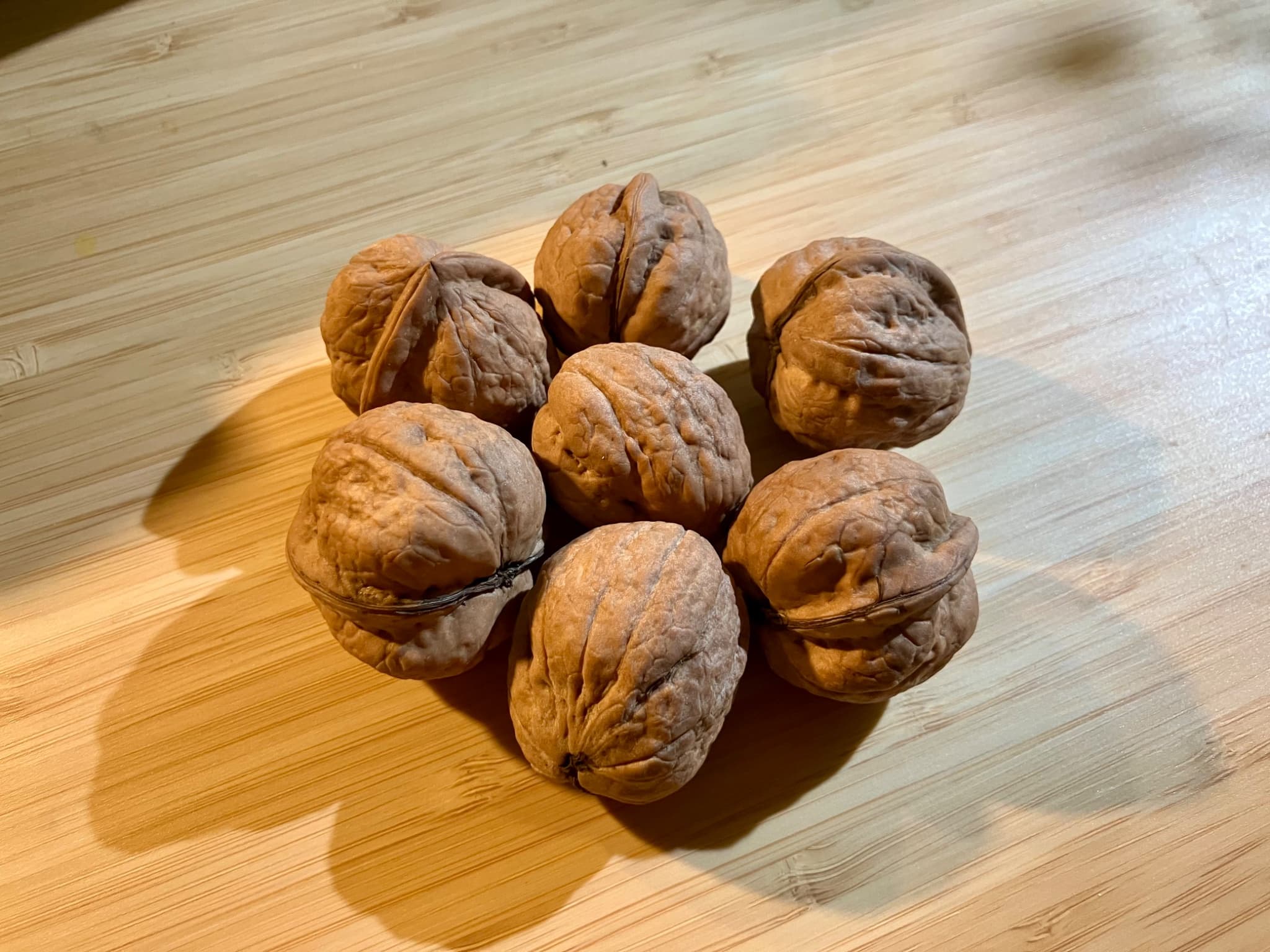 2025年10月の活動報告