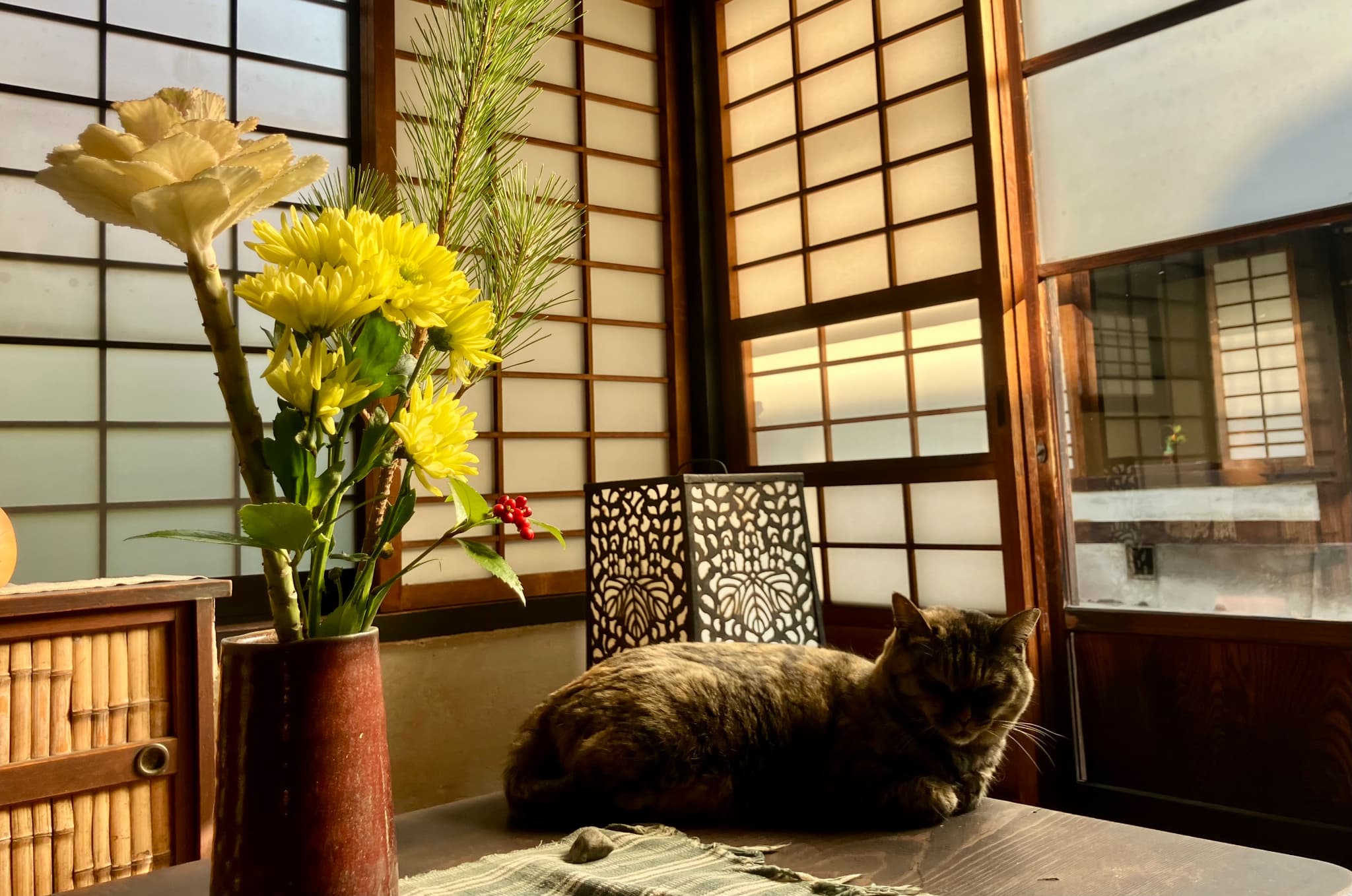 2026年1月の活動報告（2/7更新）