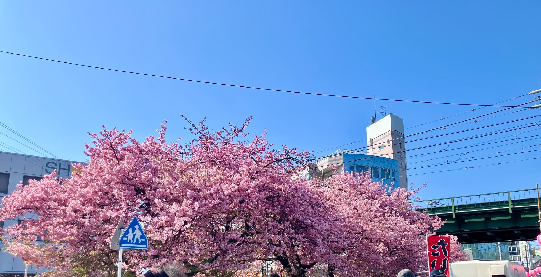 2026年2月の活動報告