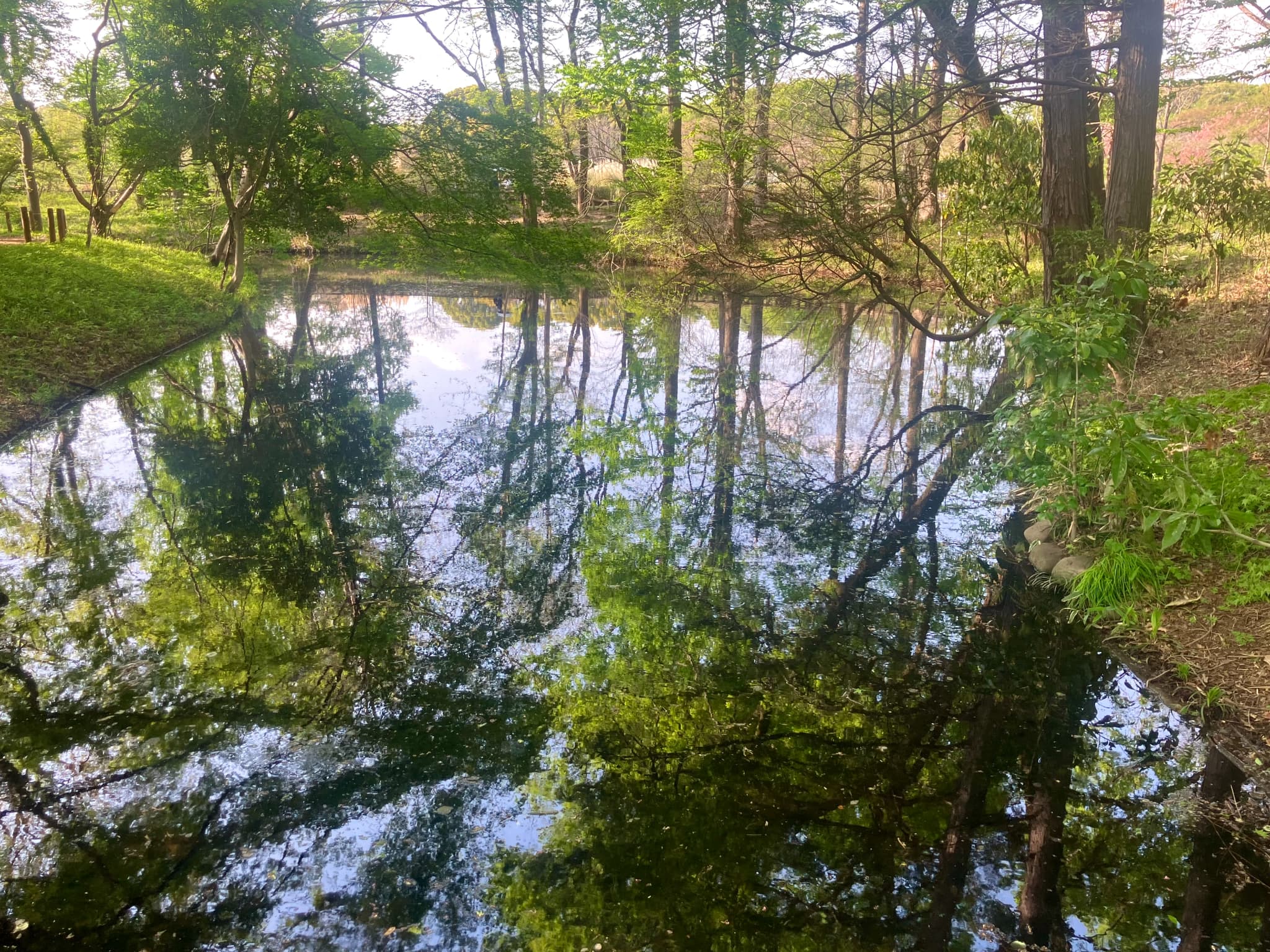 2026年4月の活動報告＆文学フリマ東京42出店のお知らせ