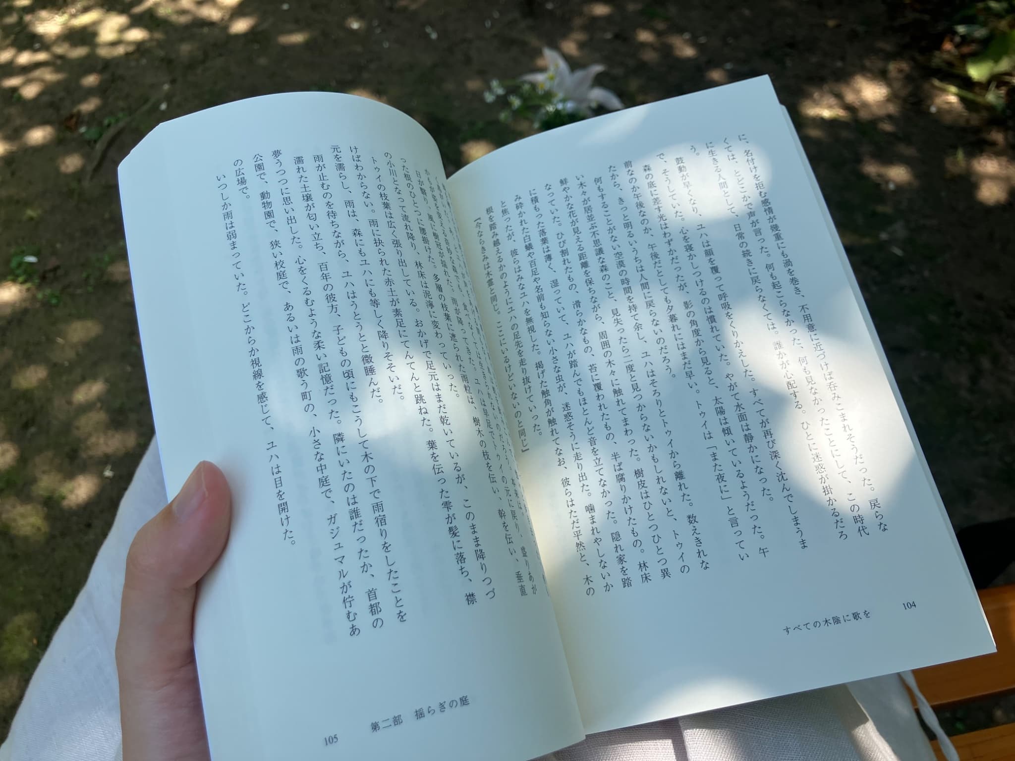 2026年5月の活動報告