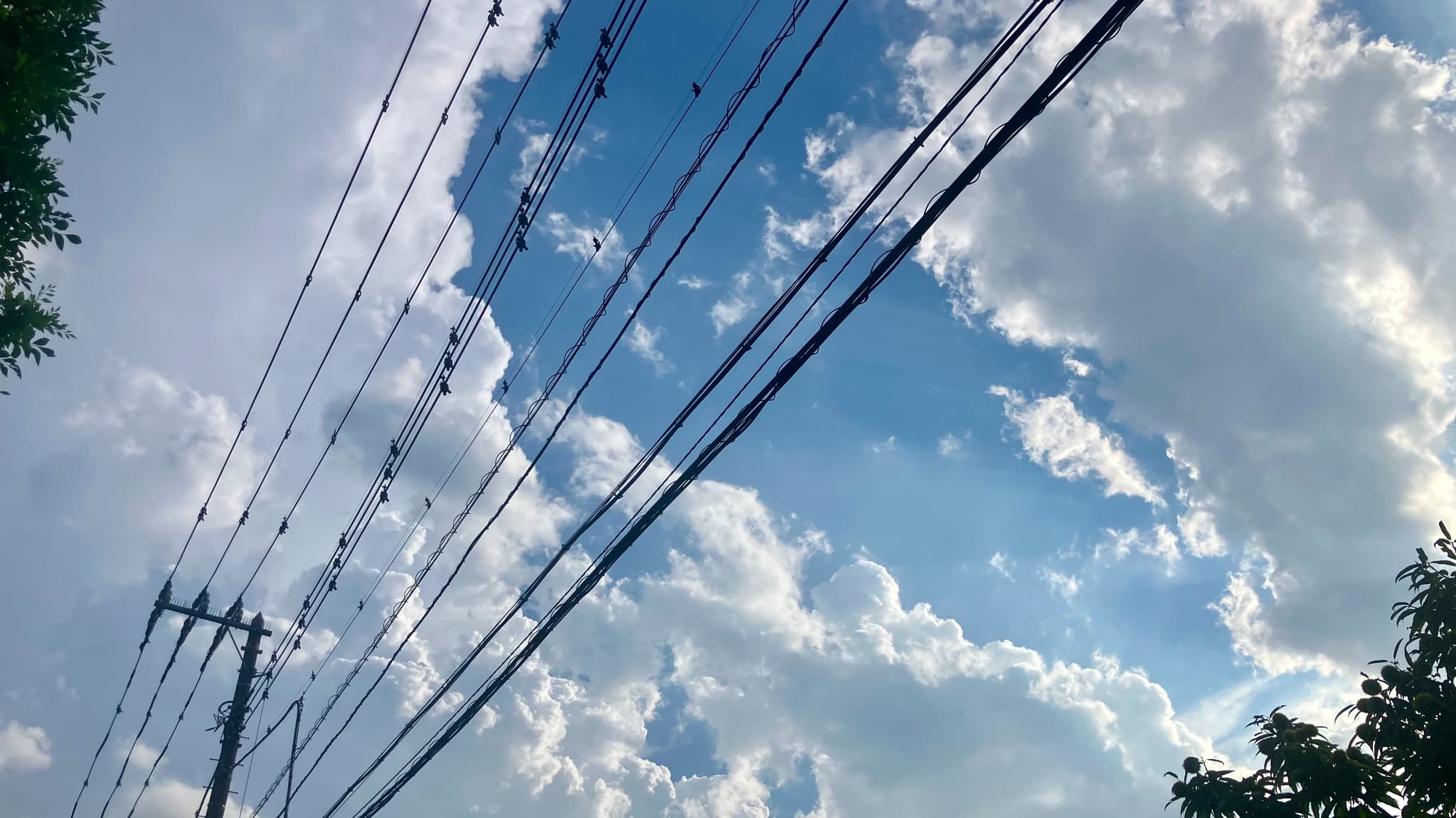 2026年7月の活動報告