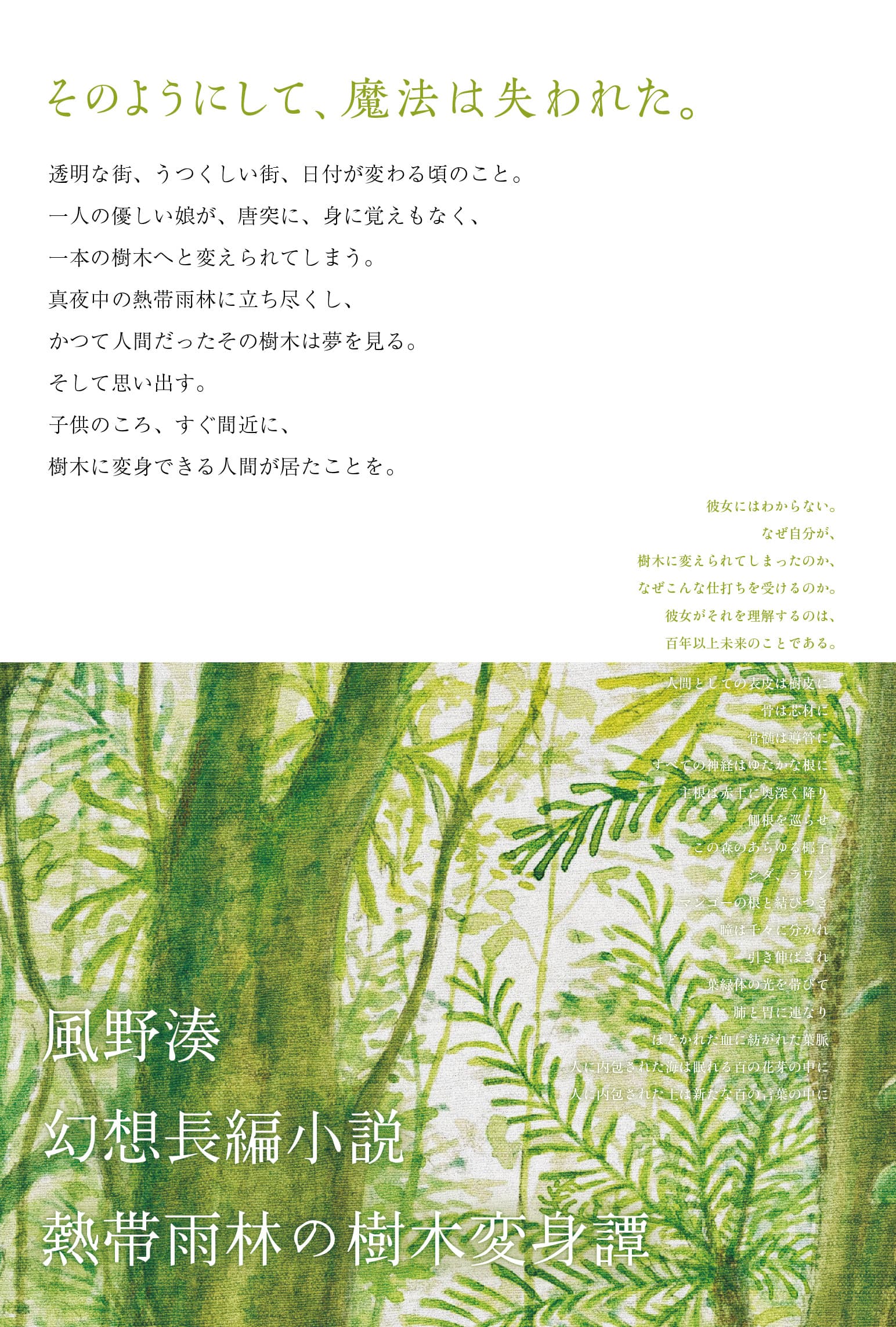 『すべての樹木は光』裏表紙イメージ